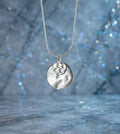 Silver Coloured Necklace
